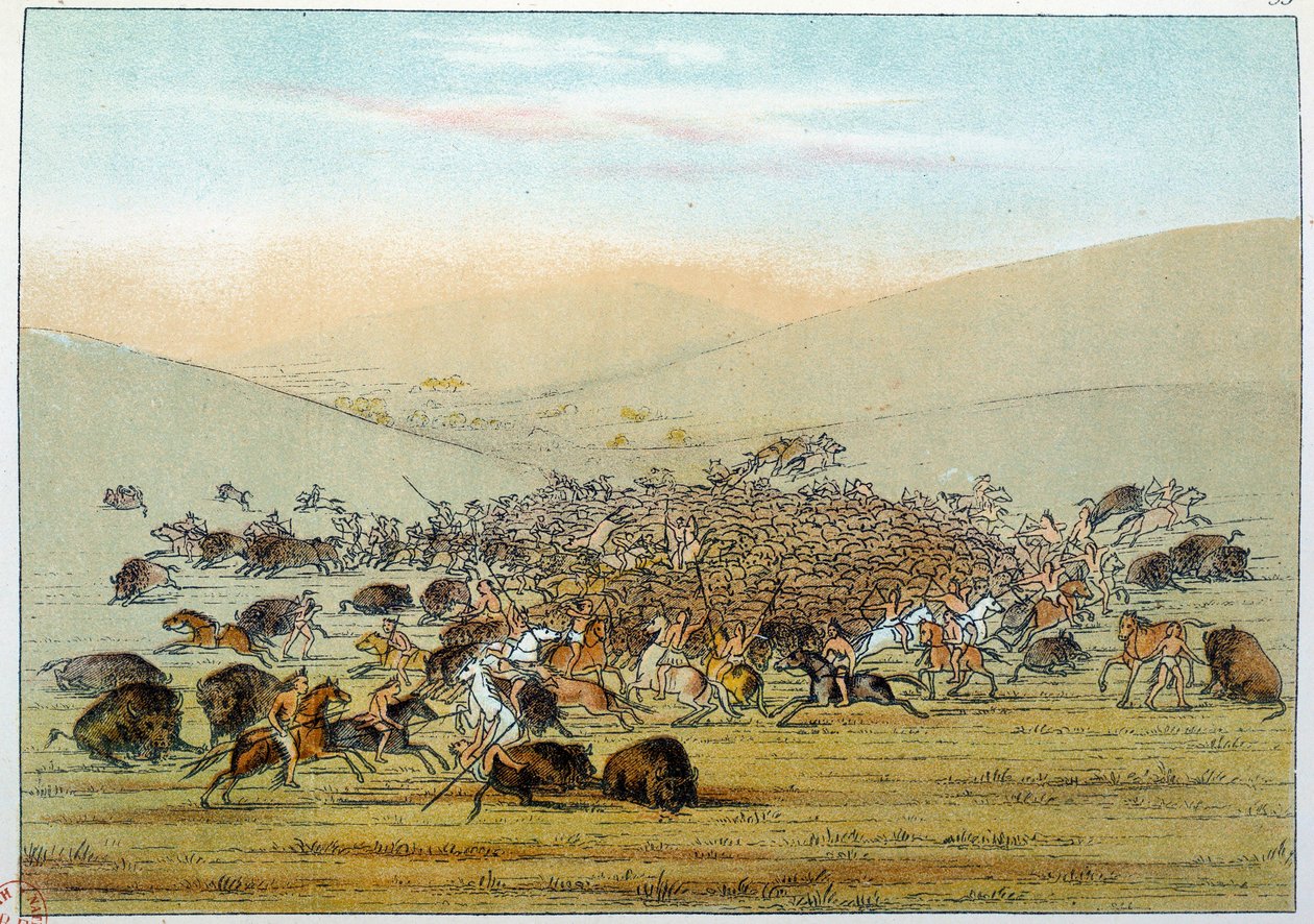 Indians of America: Indiske miniatyrer, der jager bøfler med spyd. Illustration af George Catlin (1794-1872) af George Catlin