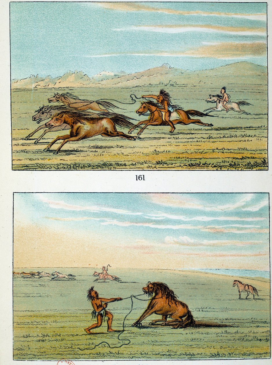 Indians of America: hvordan man fanger vilde heste. Illustration af George Catlin (1794-1872) af George Catlin