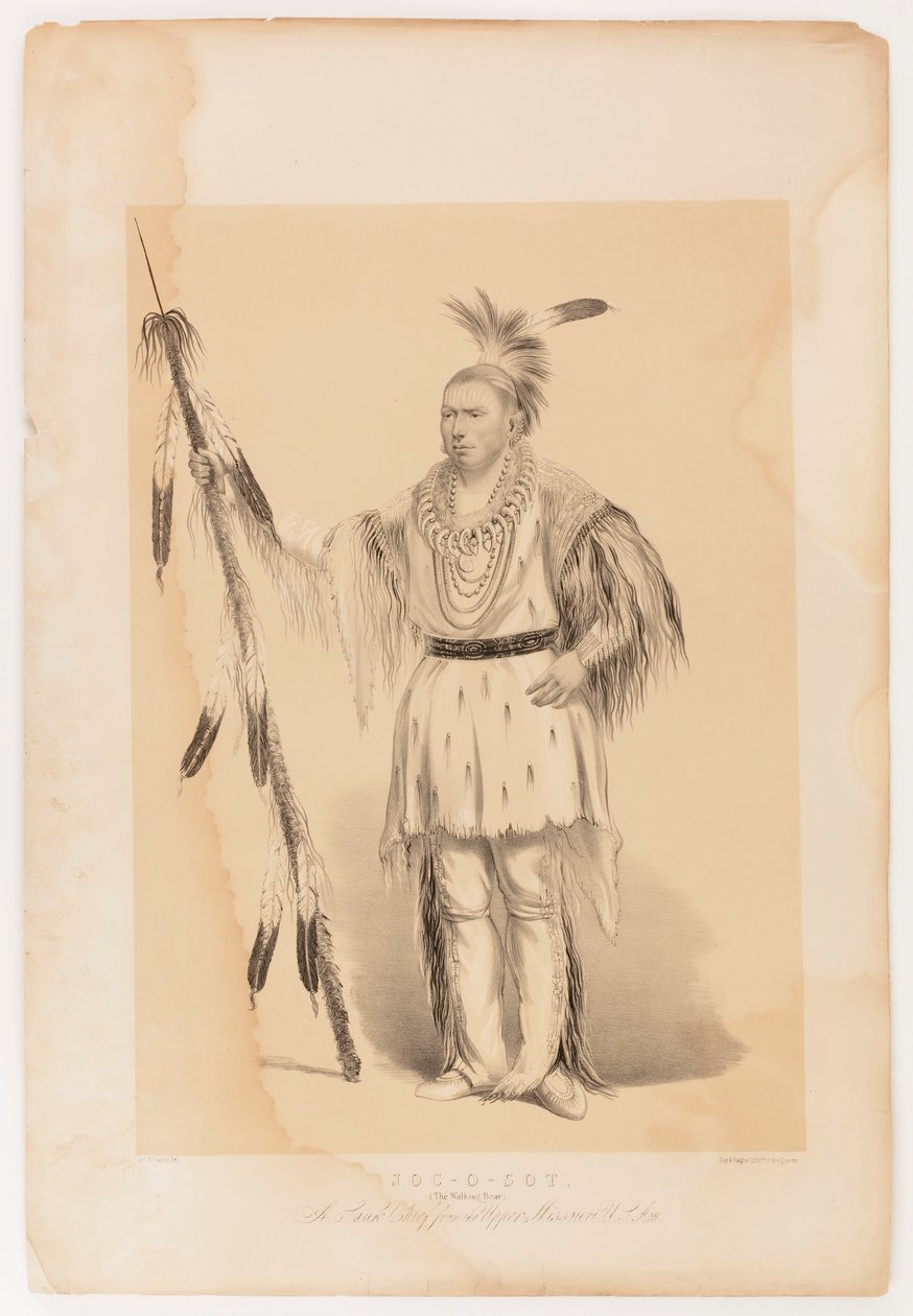 Joc-o-sot, den vandrende bjørn af George Catlin