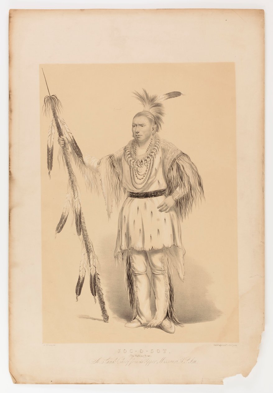 Joc-o-sot, den vandrende bjørn af George Catlin