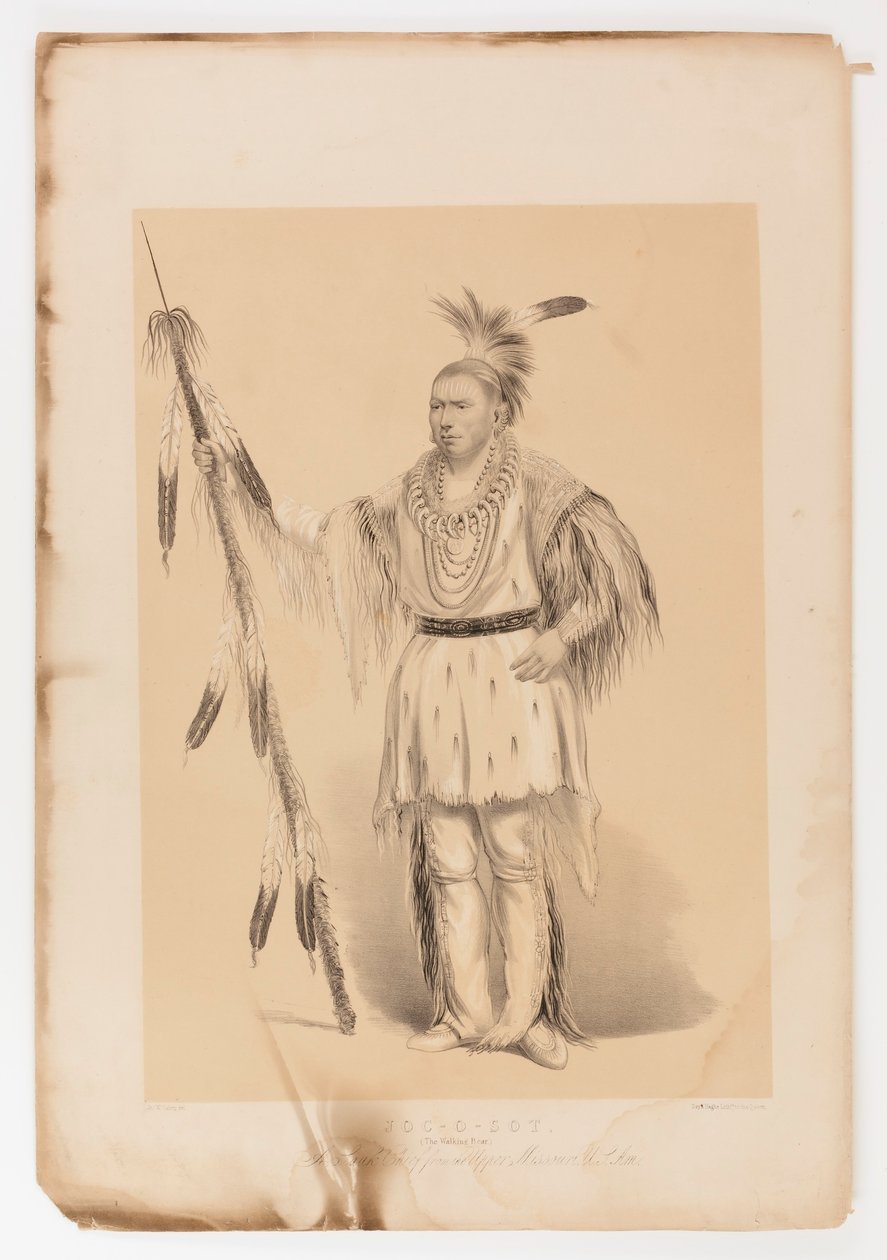 Joc-o-sot, den vandrende bjørn af George Catlin