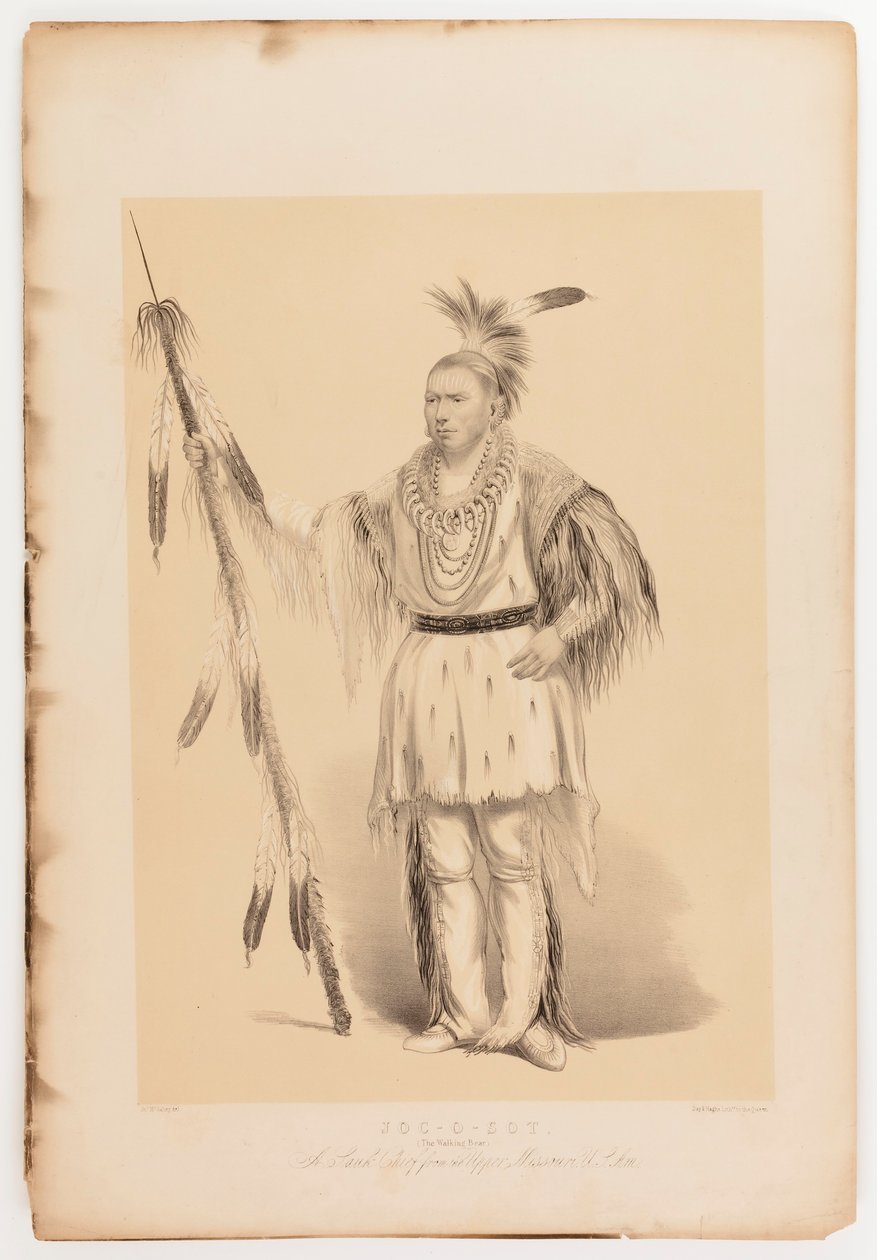 Joc-o-sot, den vandrende bjørn af George Catlin