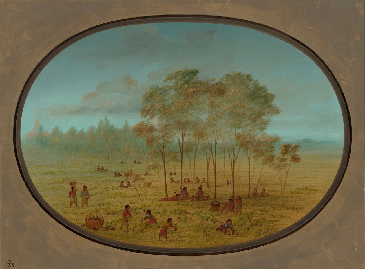 Kiowa-indianere, der samler vilde druer, 18611869. af George Catlin