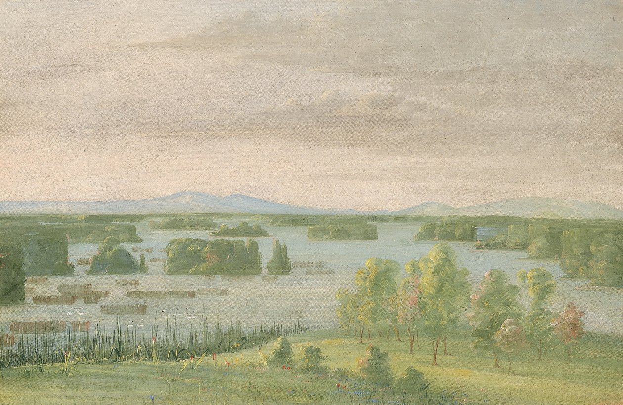 Lac du Cygne (Svanesøen), nær Coteau des Prairies af George Catlin