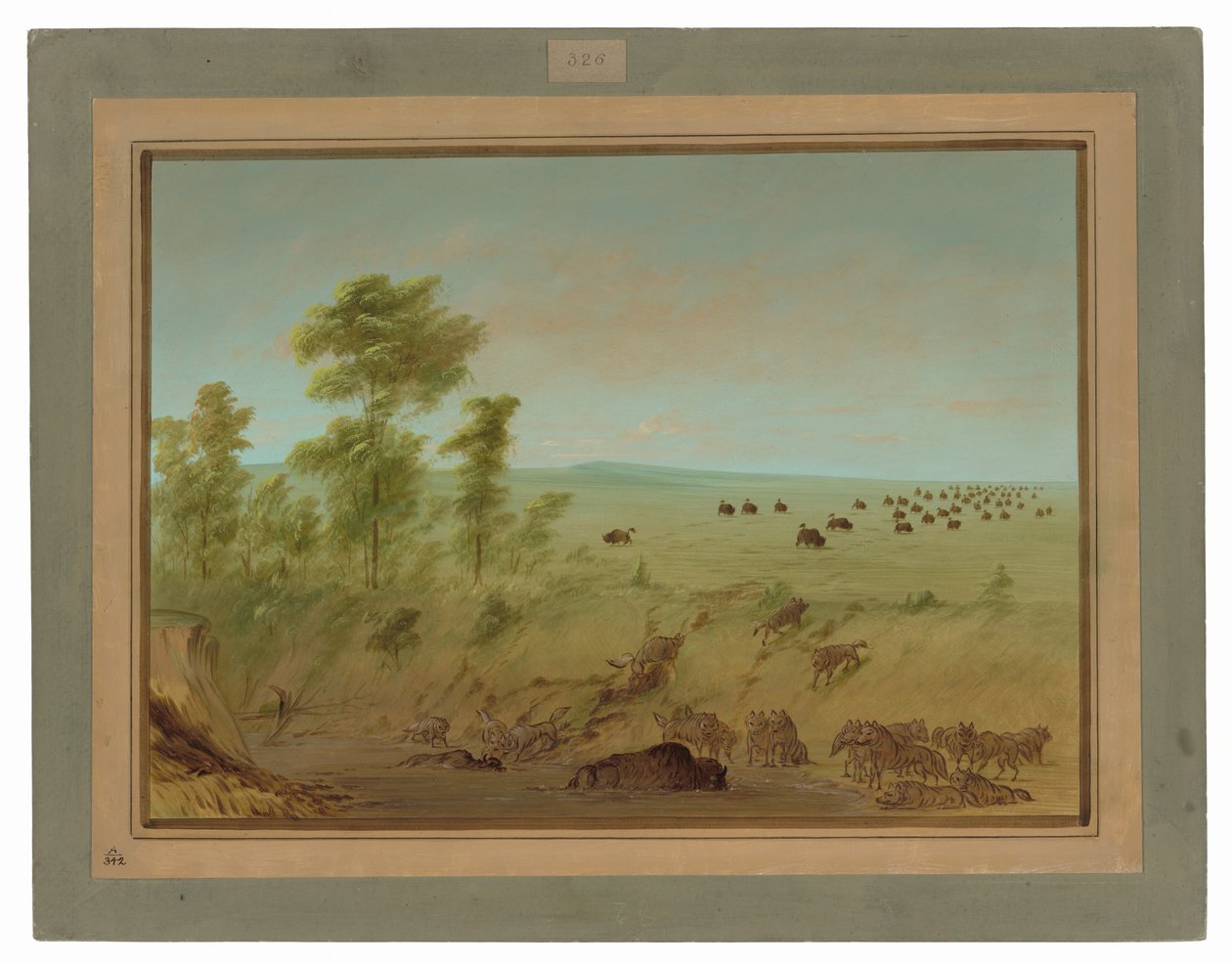 Mired Buffalo og Wolves af George Catlin
