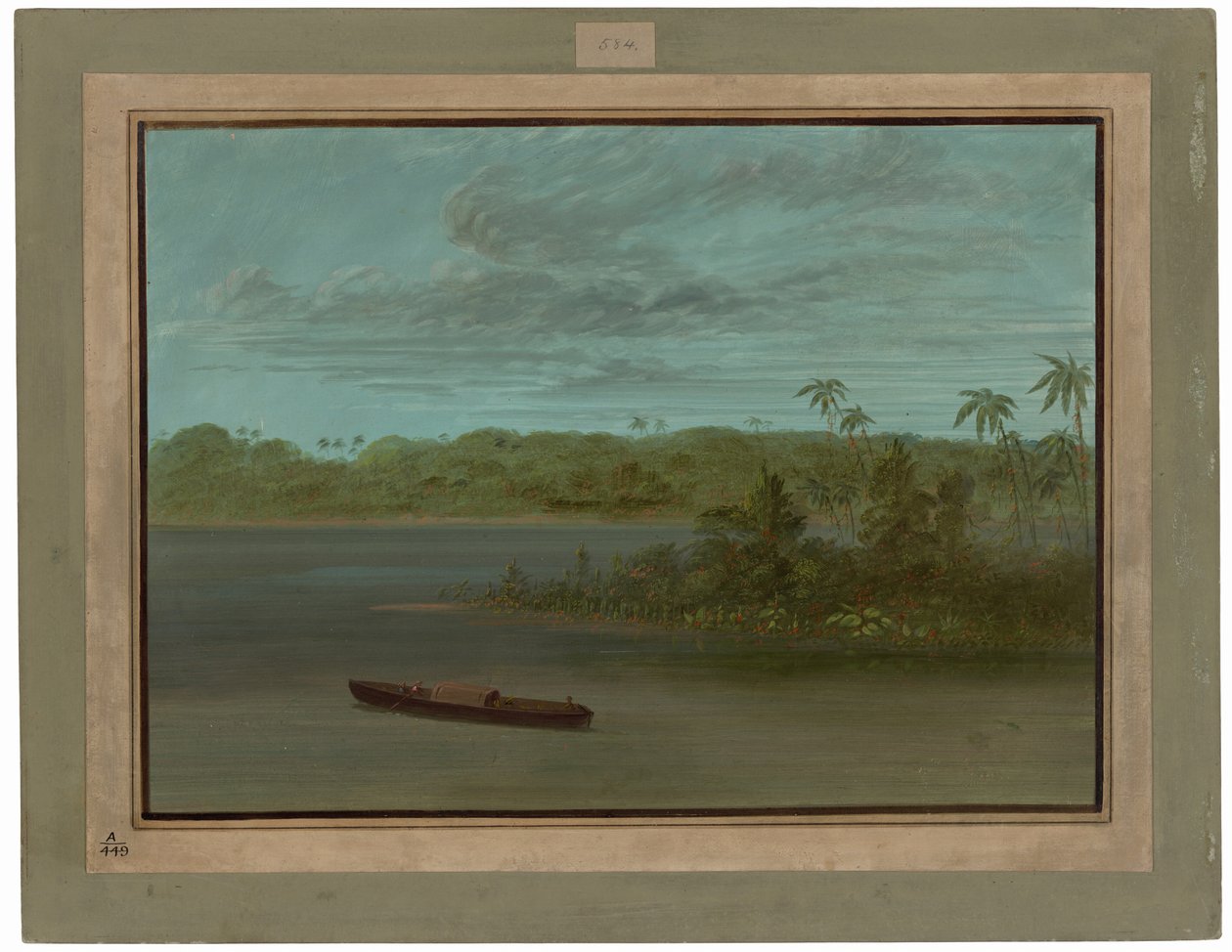 Udmundingen af Rio Purus af George Catlin