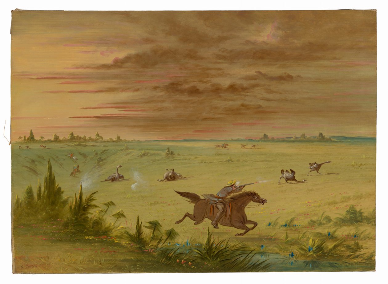 Strudsejagt, Buenos Aires - Auca af George Catlin