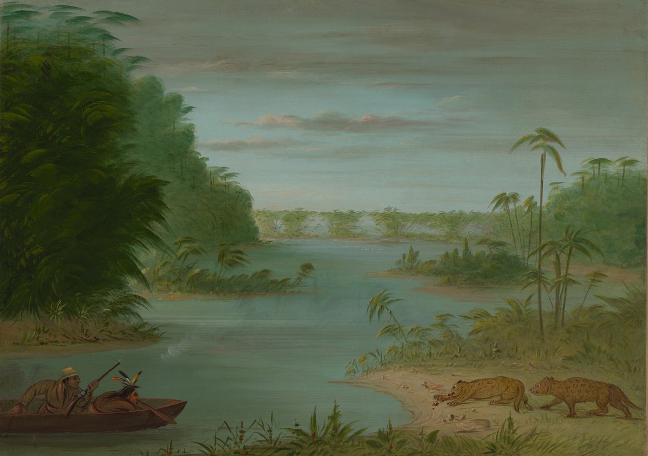 Pont de Palmiers og tigerskydning, 18541869. af George Catlin