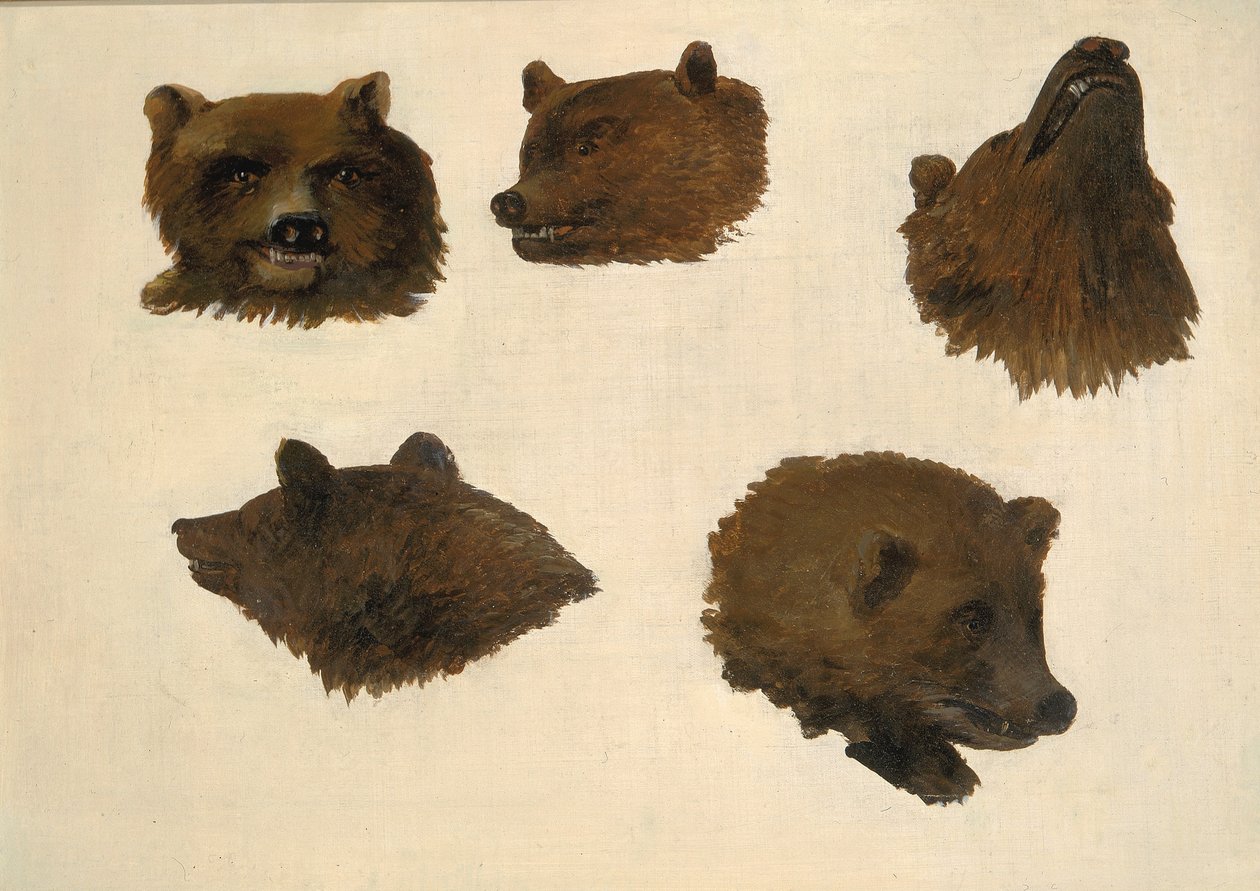 Portrætter af to grizzlybjørne, fra virkeligheden af George Catlin