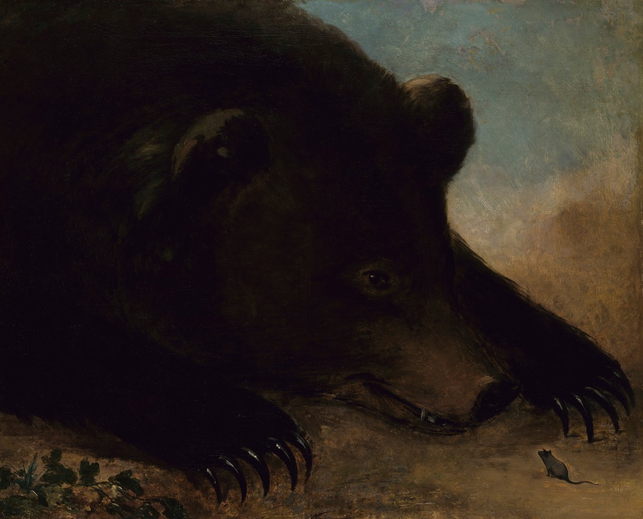 Portrætter af en grizzlybjørn og en mus, naturlig størrelse af George Catlin