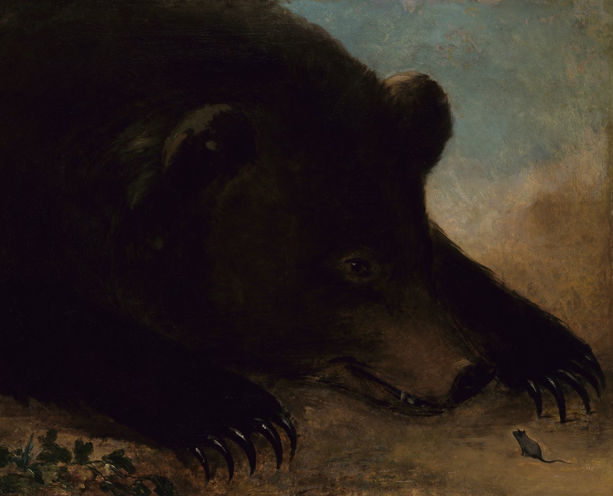 Portrætter af en Grizzlybjørn og en mus, naturlig størrelse, 1846-1848. af George Catlin