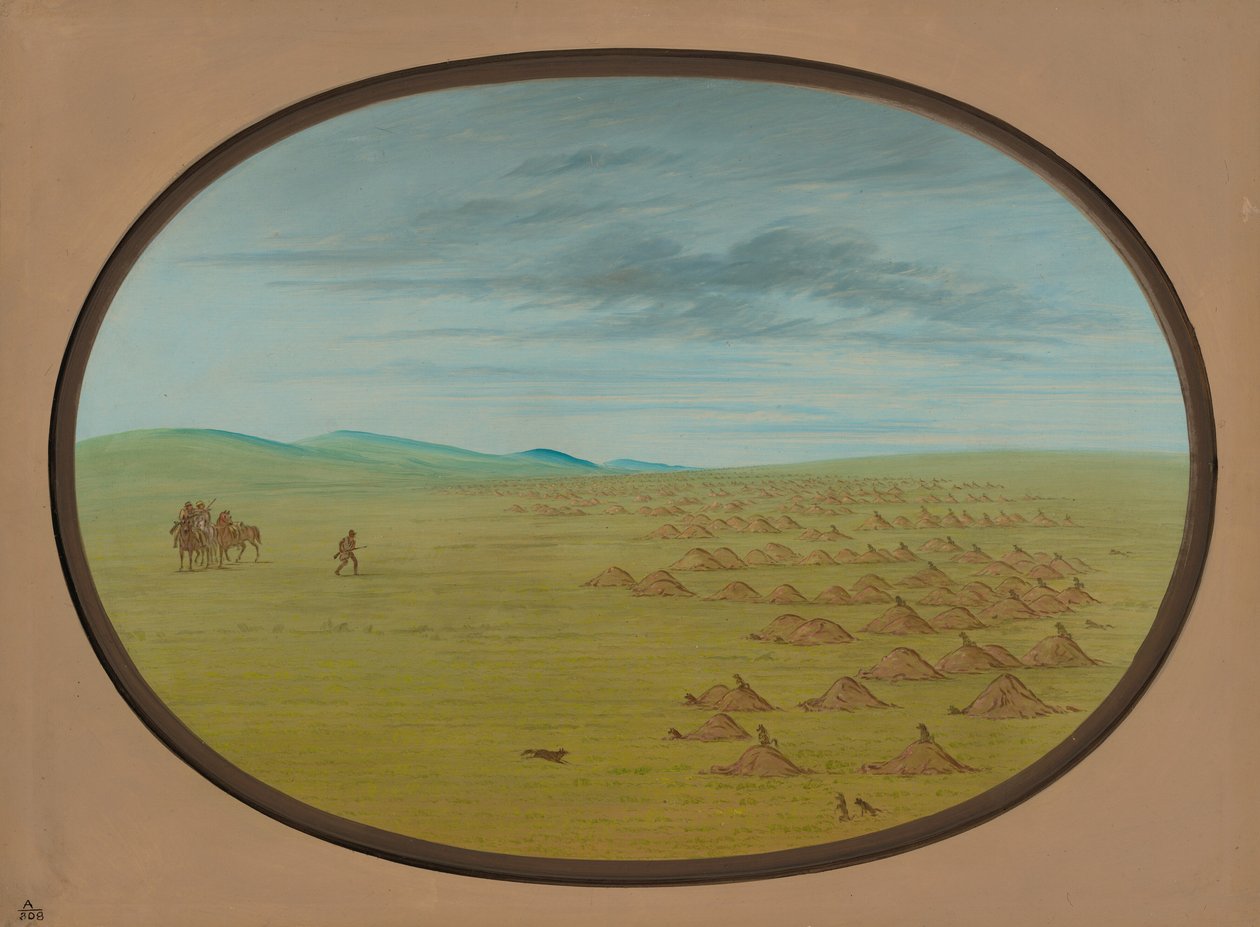 Præriehundelandsby, 18611869. af George Catlin