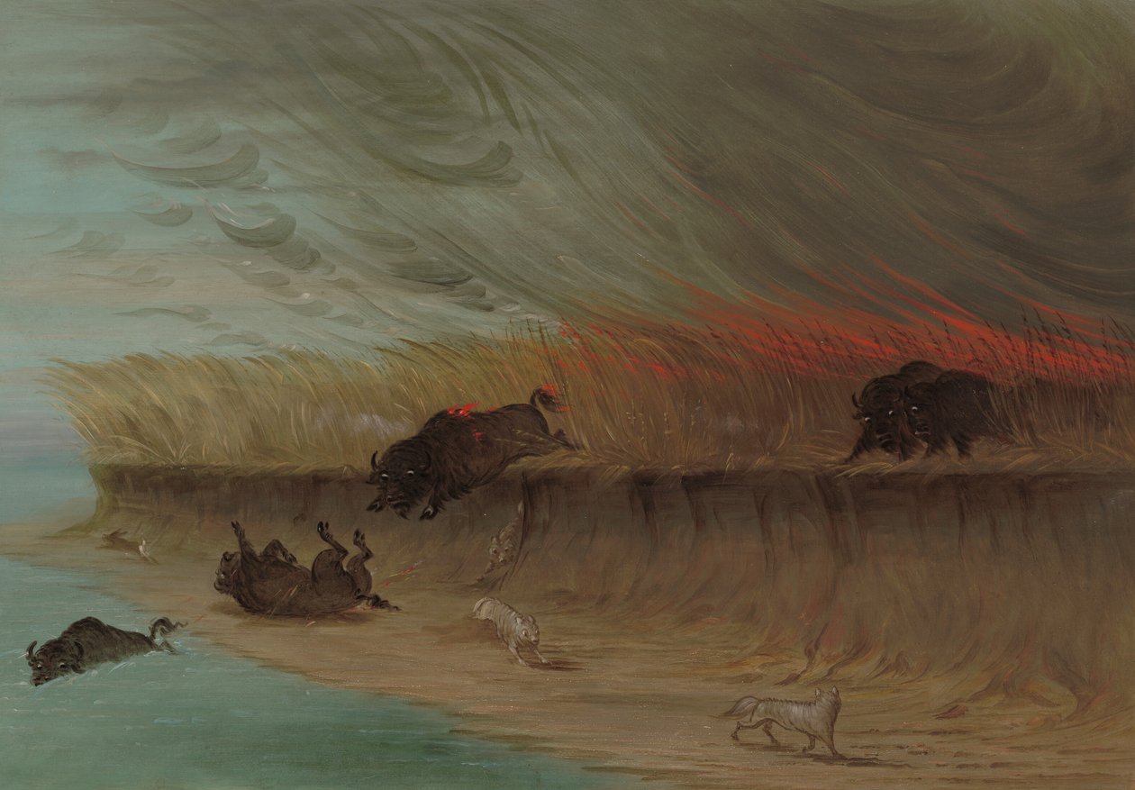 Prairie Meadows Burning, 18611869. af George Catlin