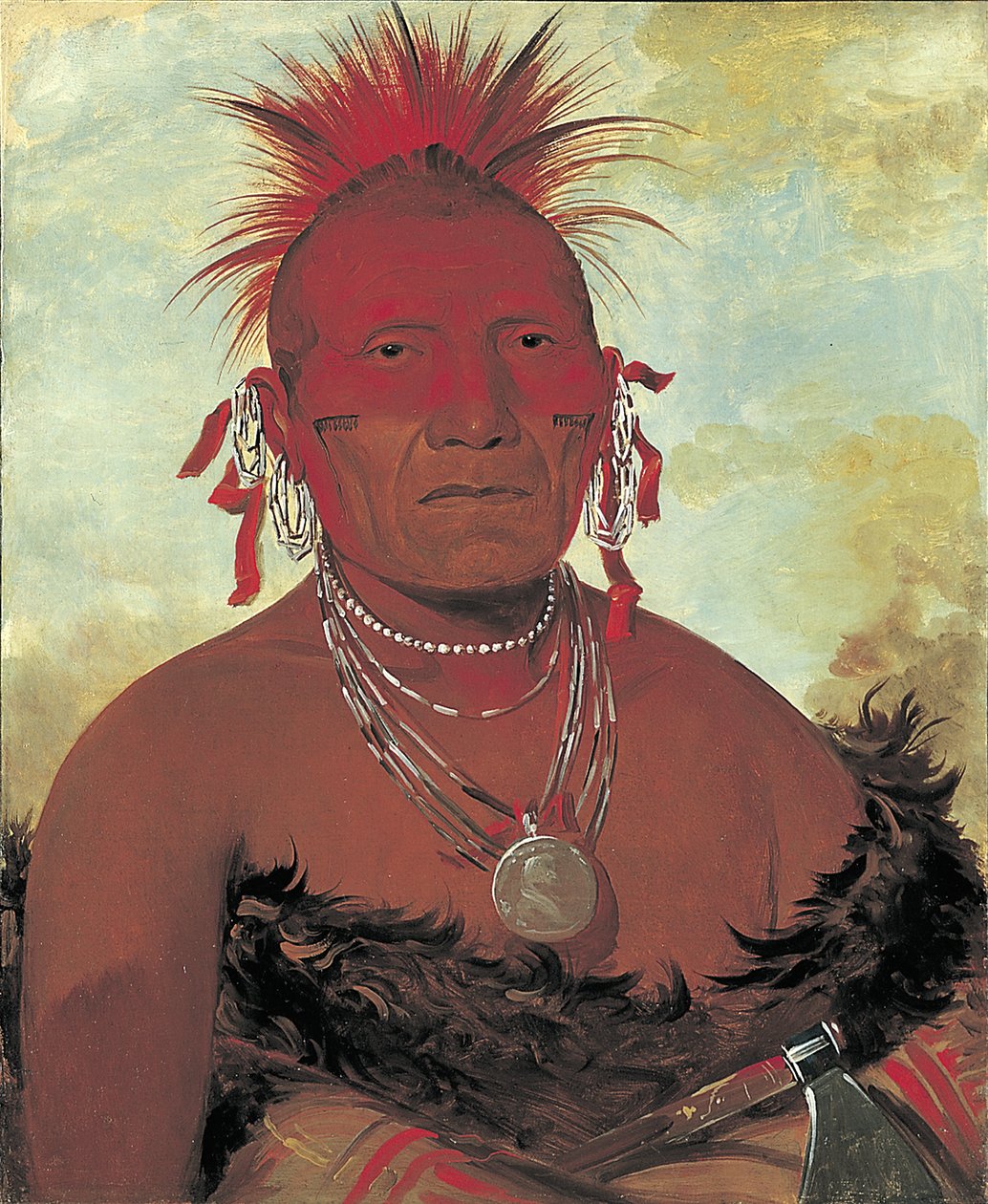 Shón-ka-ki-he-ga, Hestechef, Grand Pawnee Head Chief, 1832. af George Catlin