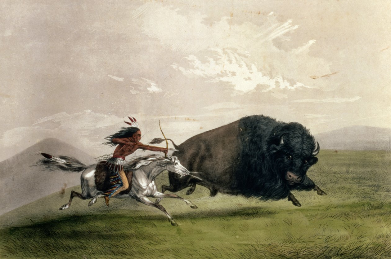 The Buffalo Chase "Singling Out", pub. af Currier og Ives af George Catlin