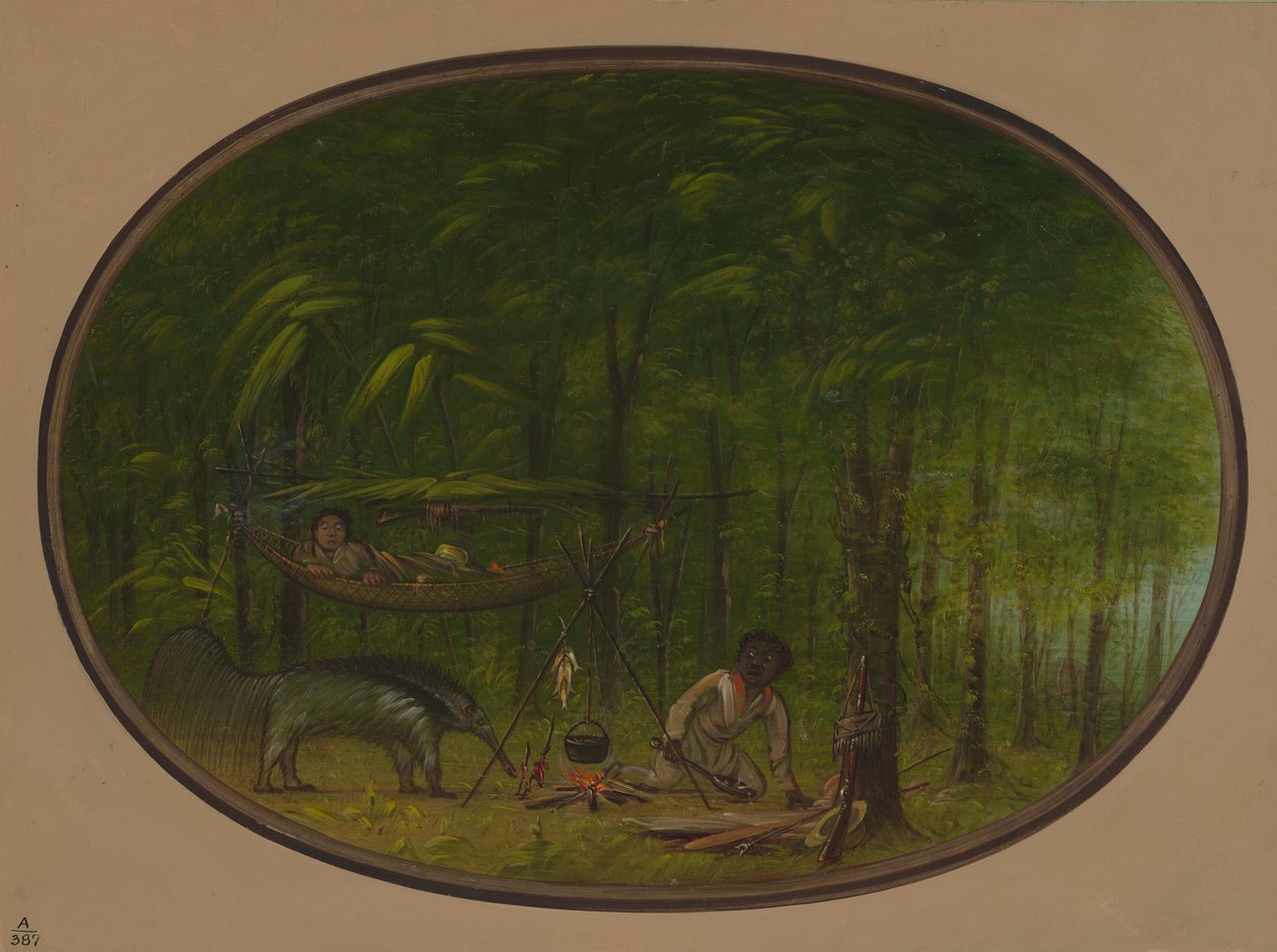 Den store myreæder, 18541869. af George Catlin
