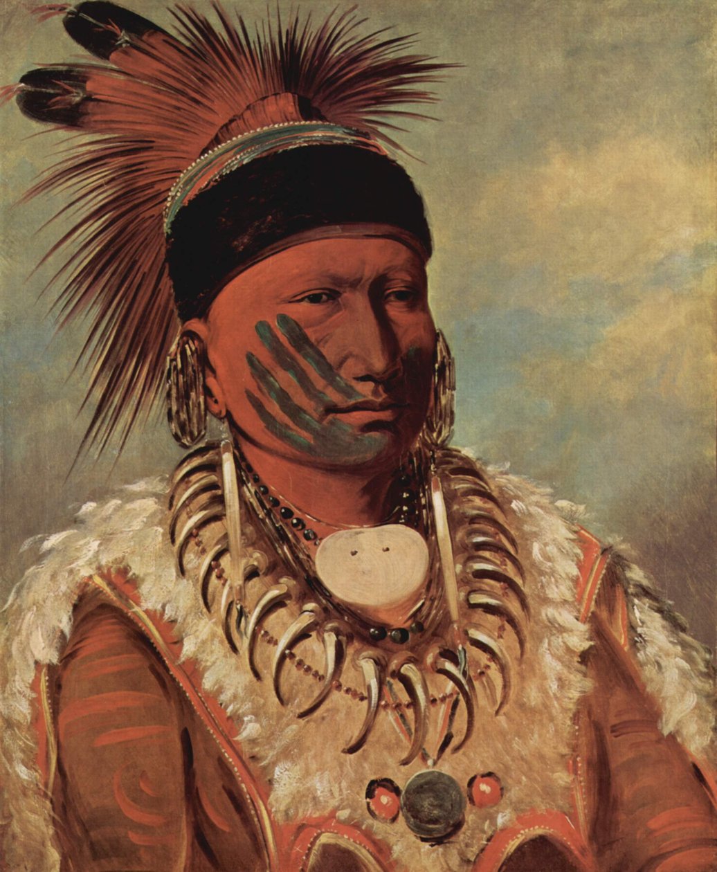 Den Hvide Sky, Iowaernes øverste høvding af George Catlin