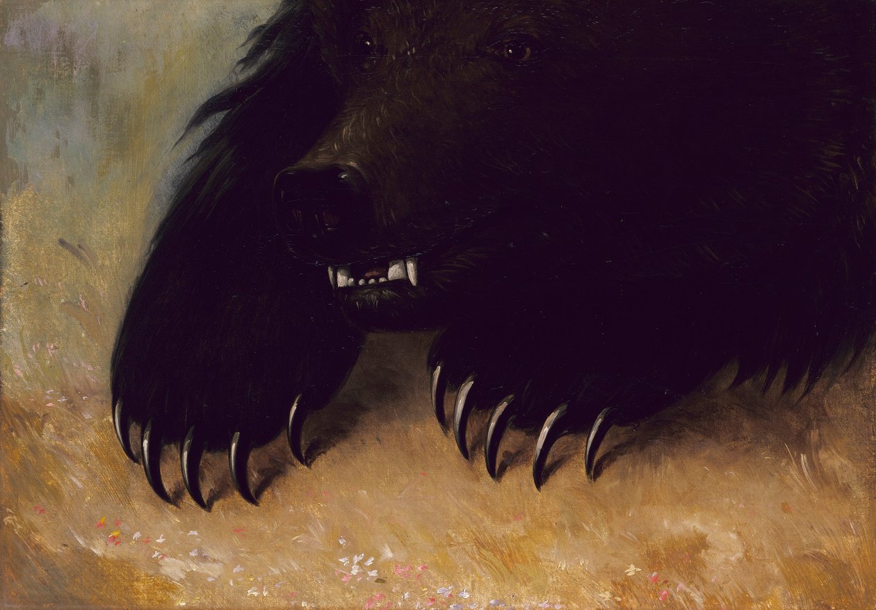Grizzlybjørnens våben og fysiognomi af George Catlin