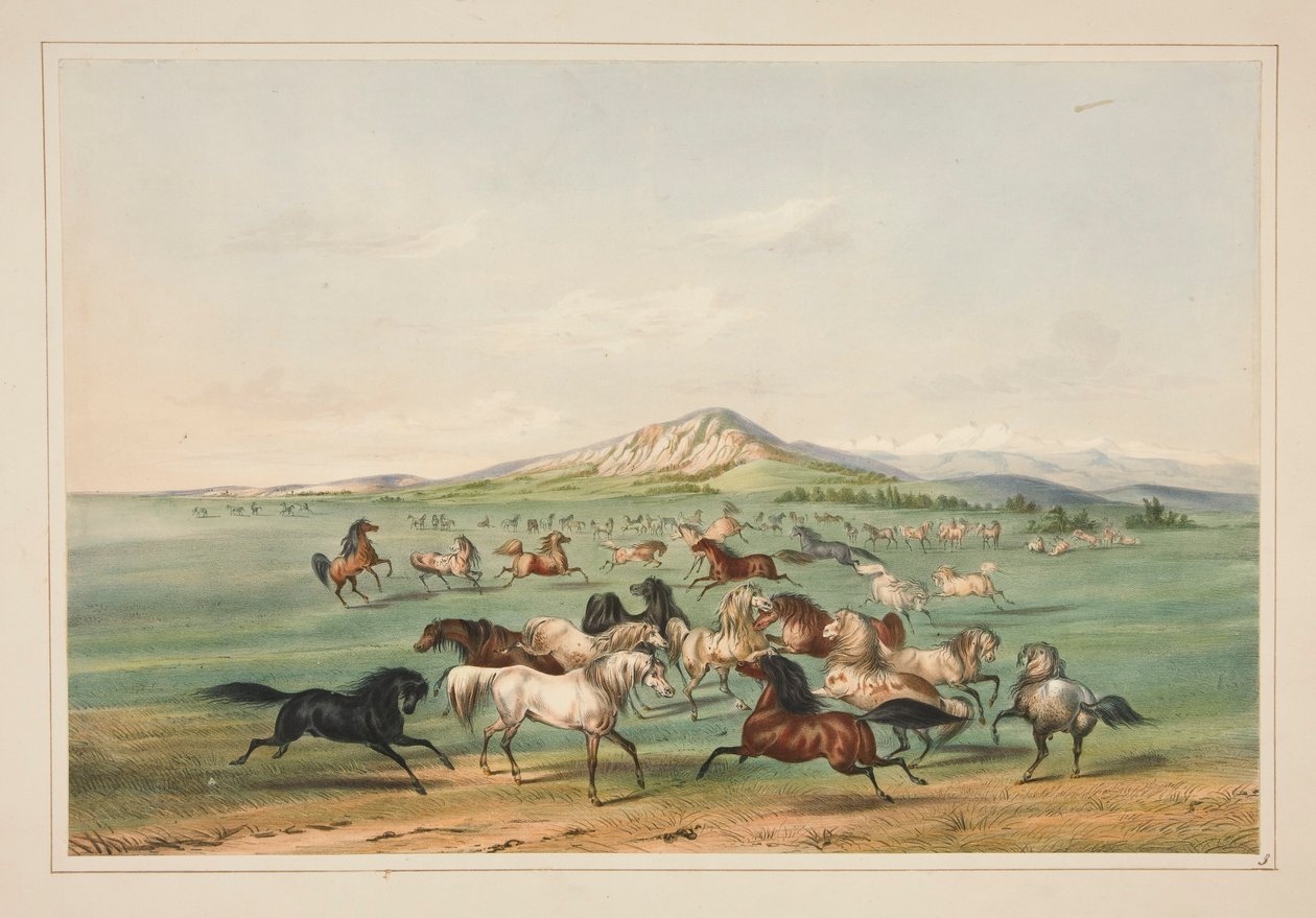 Vilde heste på spil, pl. 3 fra North American Indian Portfolio af George Catlin