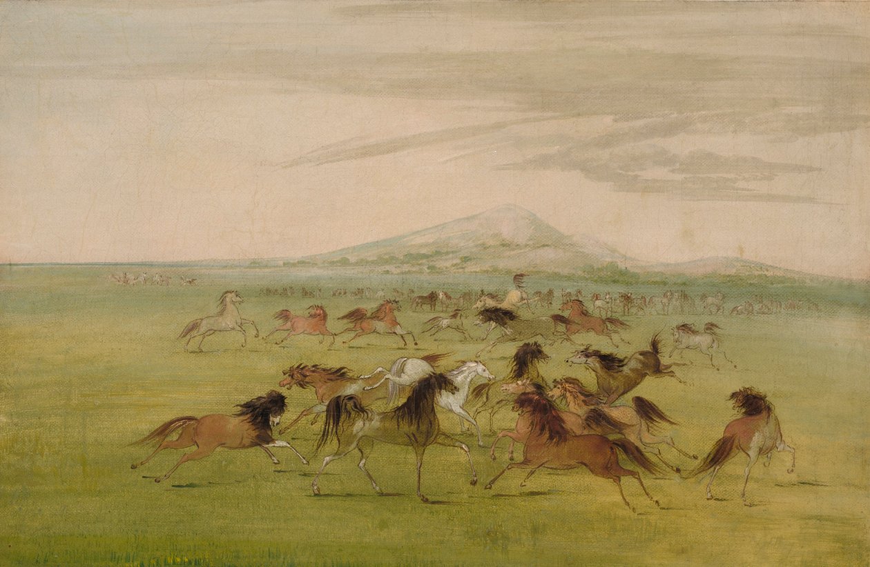 Vilde heste i leg af George Catlin