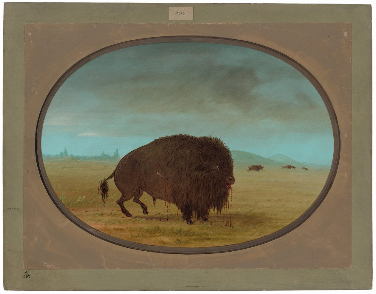 Sårede Buffalo Bull af George Catlin