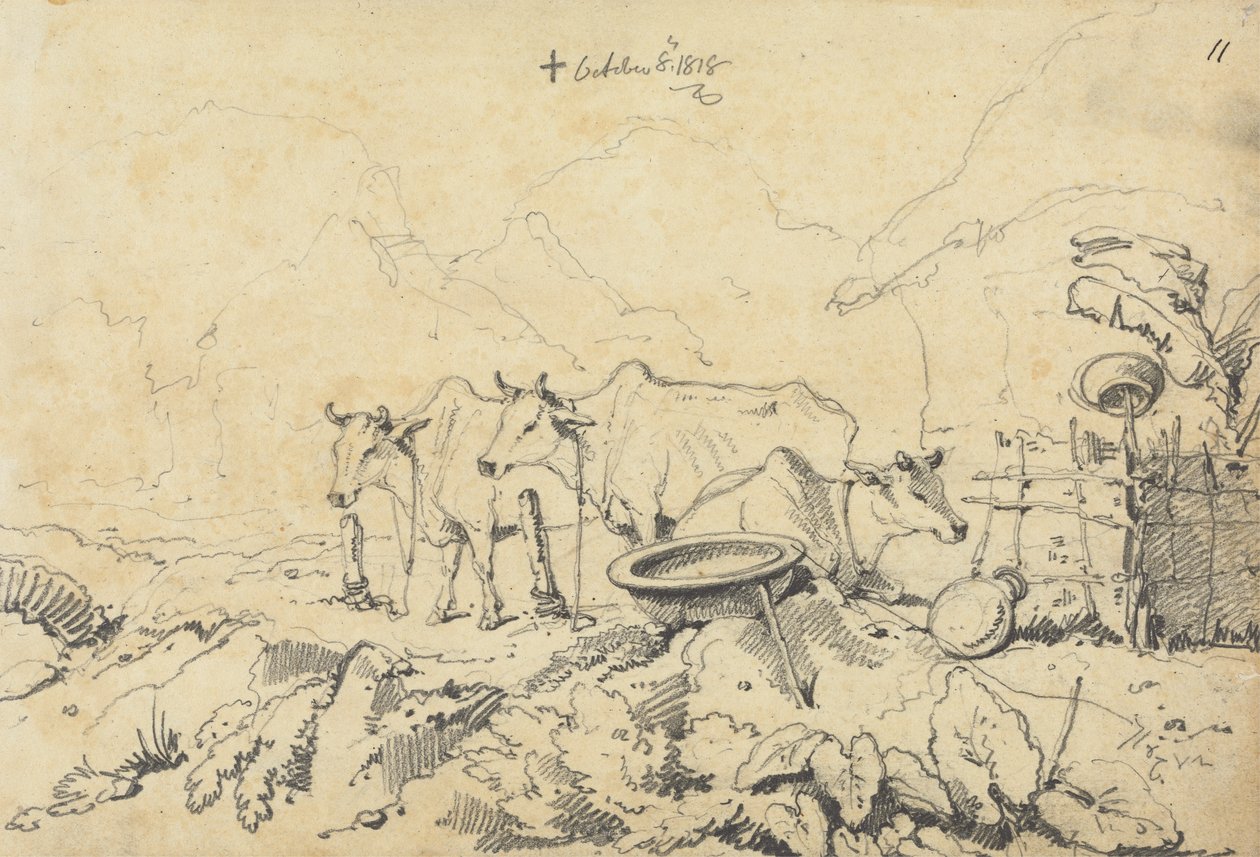 Tre køer bundet af George Chinnery