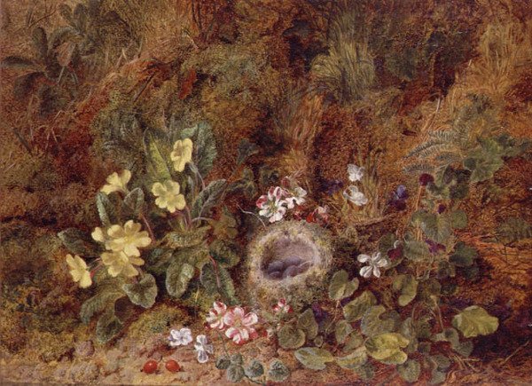 Stilleben med fuglerede og vilde blomster af George Clare