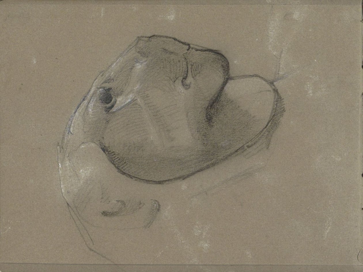 Løvehoved, formentlig efter en skulptur af George Clausen