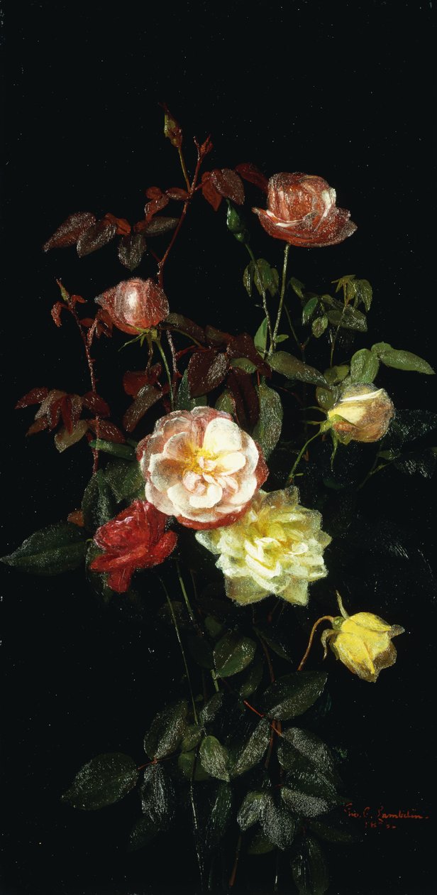 Roser, 1878 af George Cochran Lambdin
