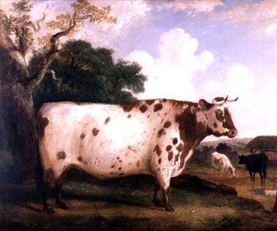 En shorthorn-tyr i et landskab af George Cole