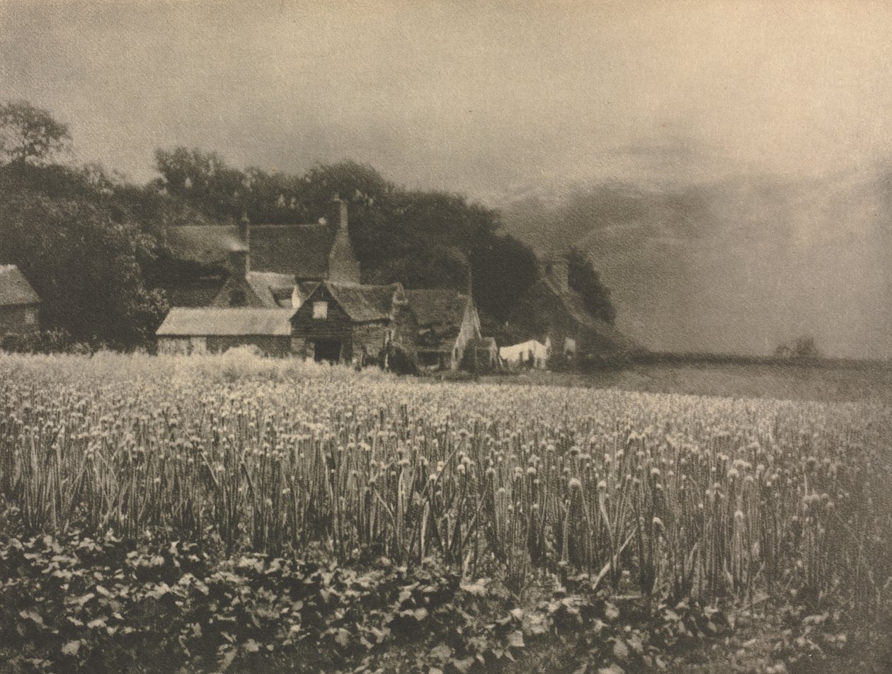 Kameraarbejde: Løgmarken - 1890 af George Davison