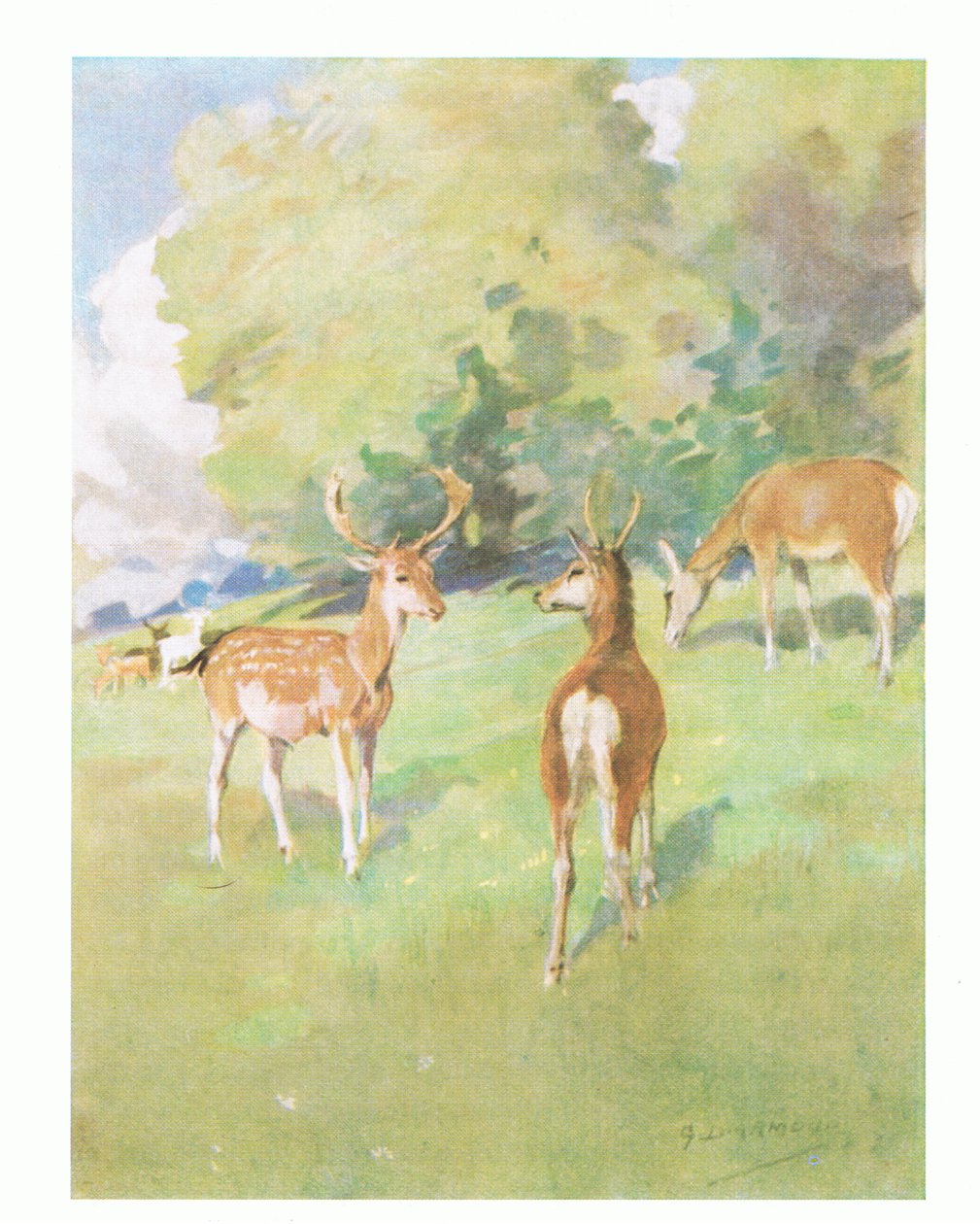 "Godmorgen lille ven" (farve litho) af George Denholm Armour