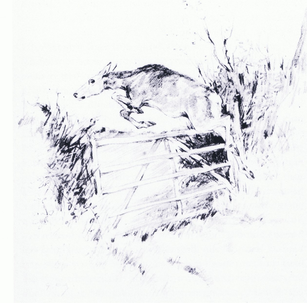 Som en pil fra en bue (litho) af George Denholm Armour