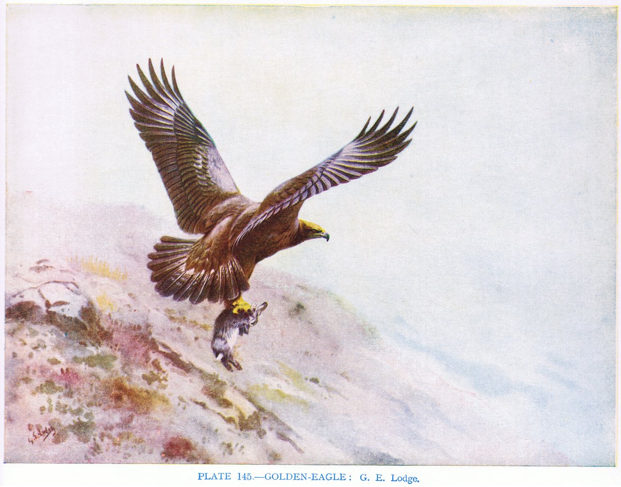  af George Edward Lodge