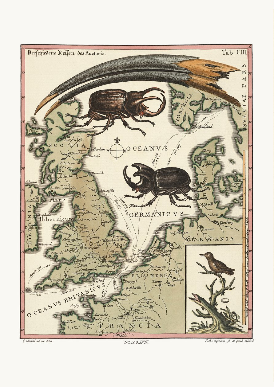 Den aegyptiske ibis og den mindste kolibri, 1749-73 af George Edwards