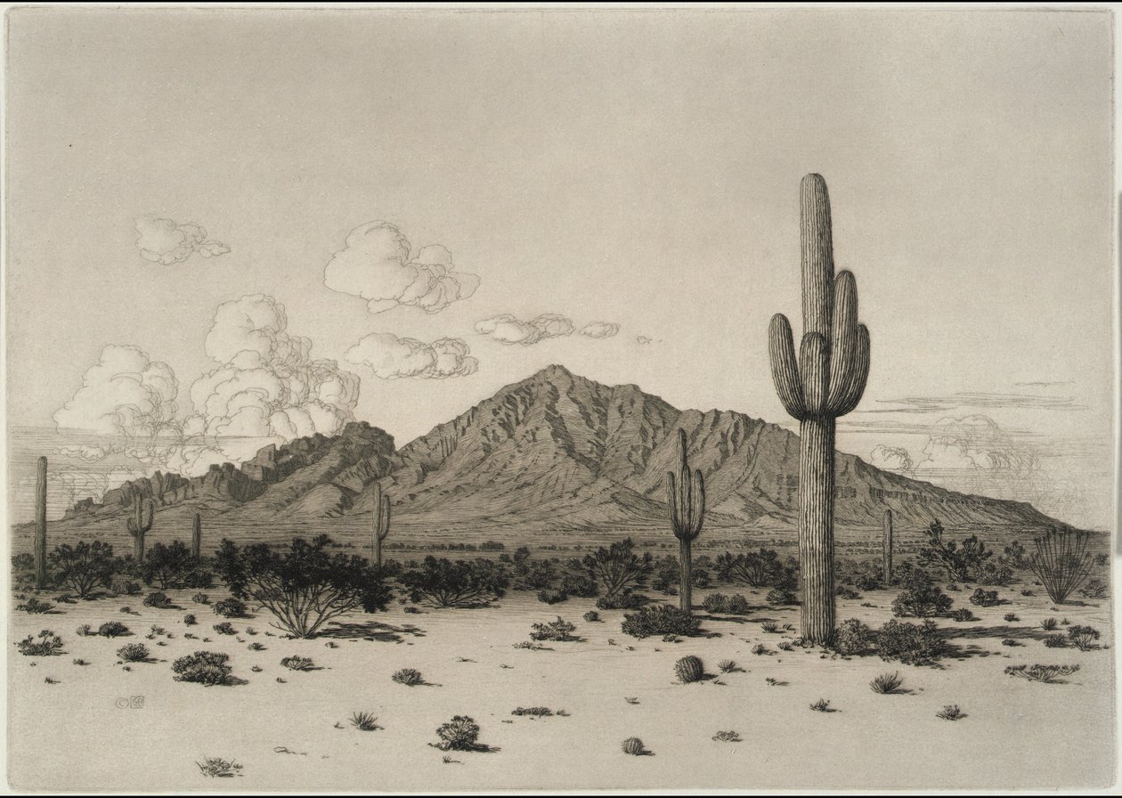 Camelback Mountain, Phoenix af George Elbert Burr