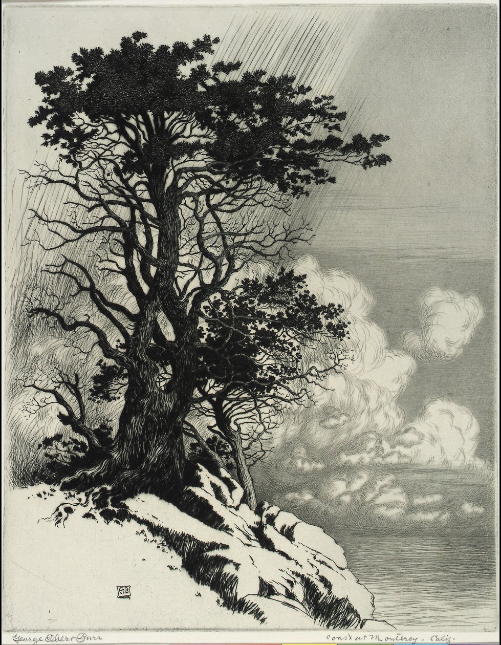 Kysten ved Monterey, Californien af George Elbert Burr