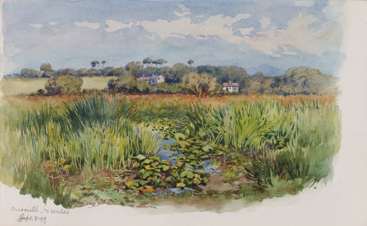 Criccieth, Nordwales af George Elbert Burr