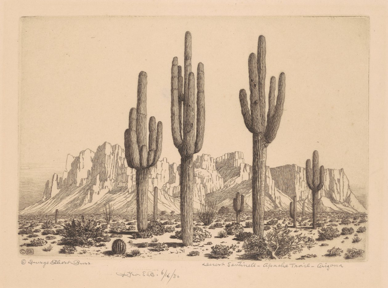 Desert Sentinels, Apache Trail, Arizona af George Elbert Burr