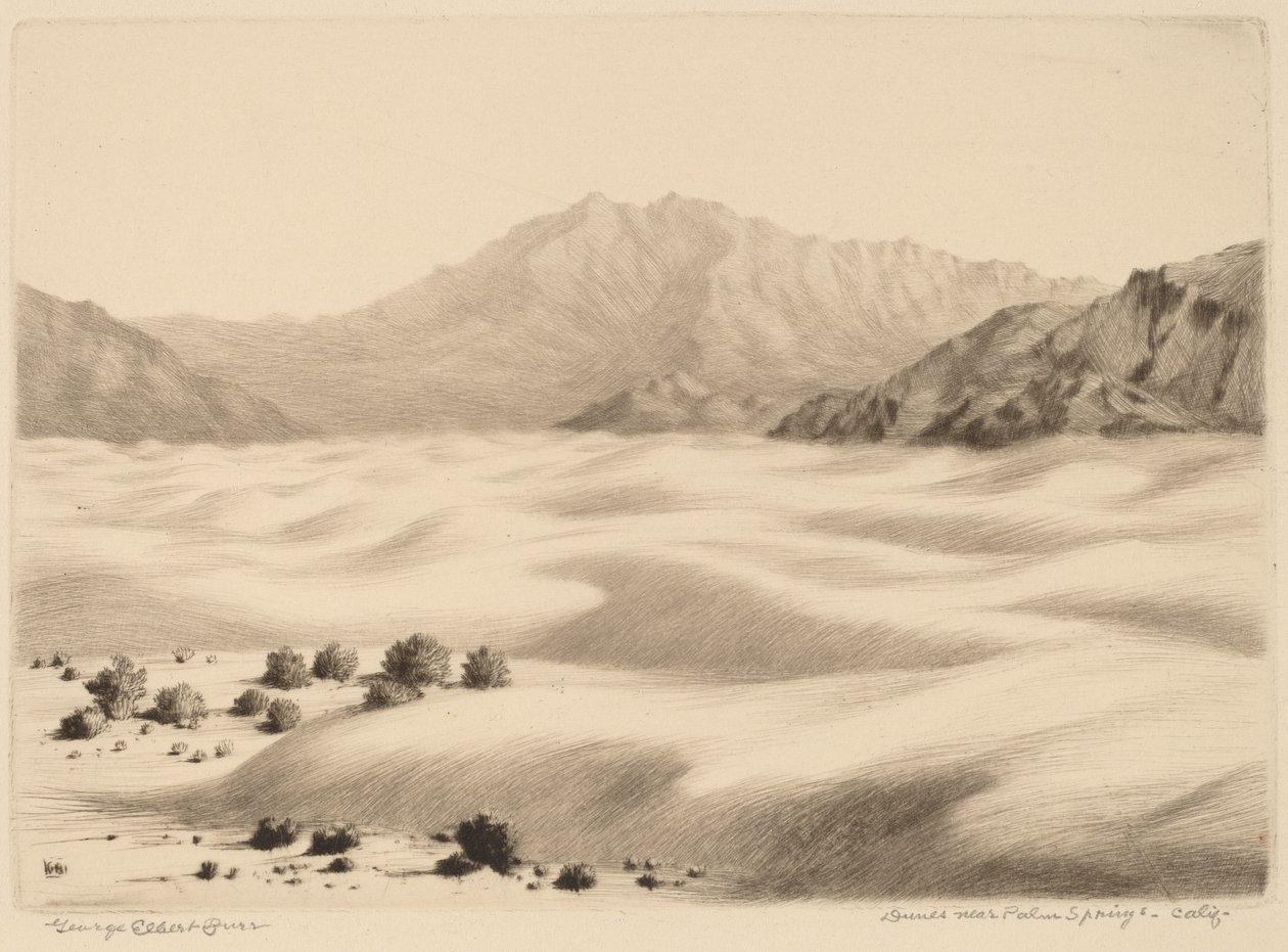 Klitter nær Palm Springs, Californien (nr. 2) af George Elbert Burr