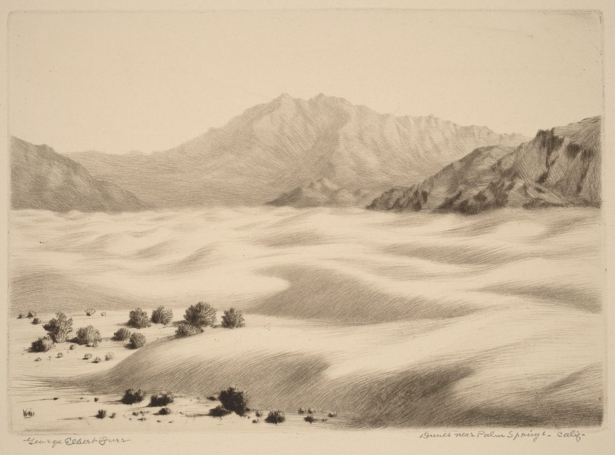 Klitter nær Palm Springs, Californien (nr. 2) af George Elbert Burr