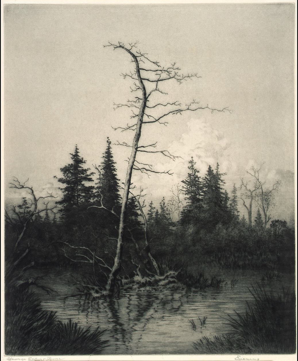 Aften af George Elbert Burr