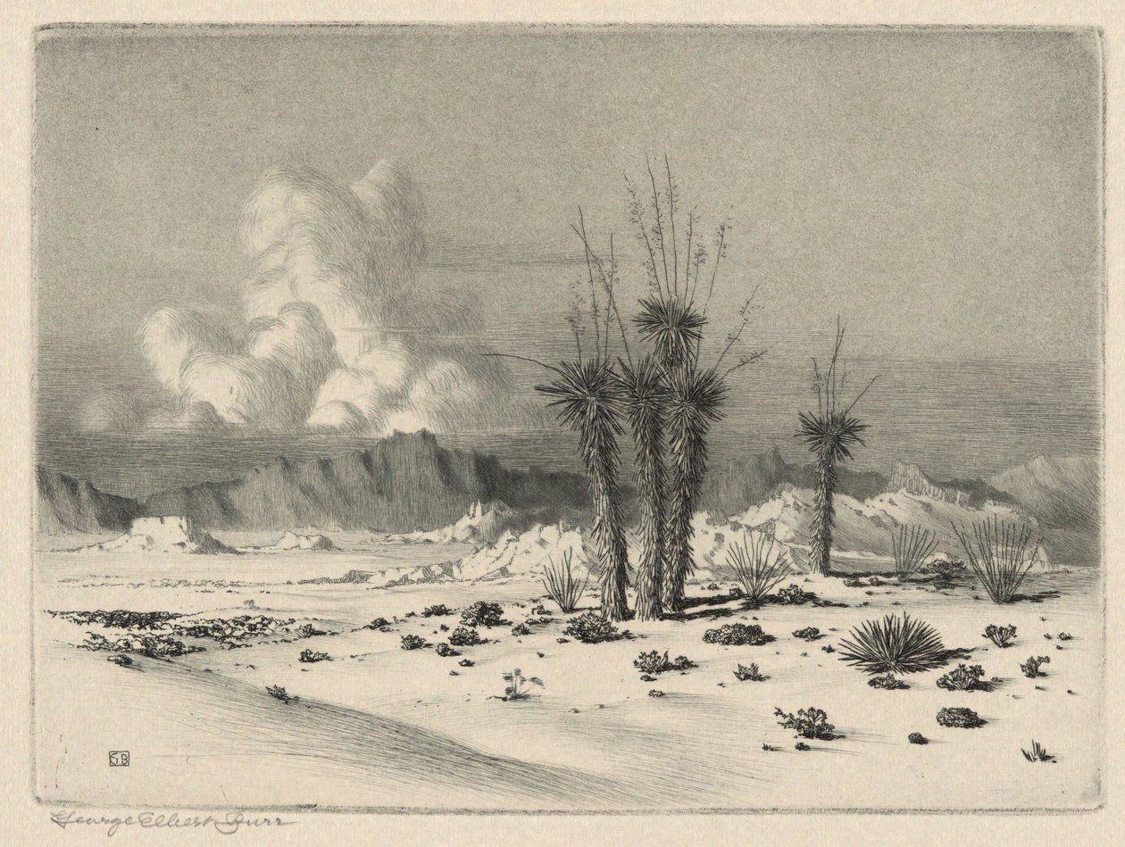 Aften, Arizona af George Elbert Burr