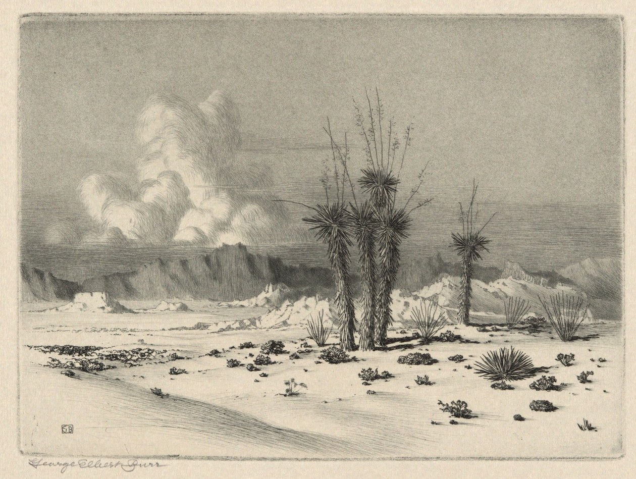 Aften, Arizona af George Elbert Burr