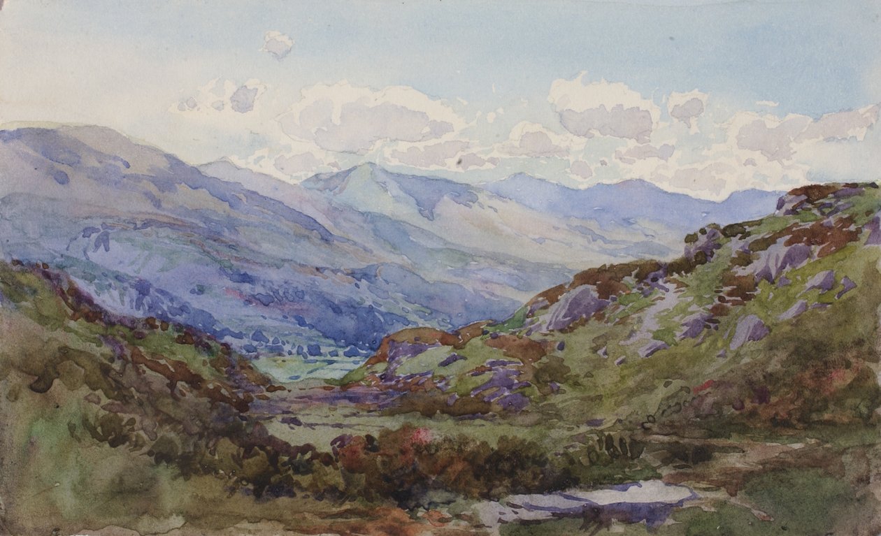 Fra oven Pont-y-Pant, 1899. af George Elbert Burr