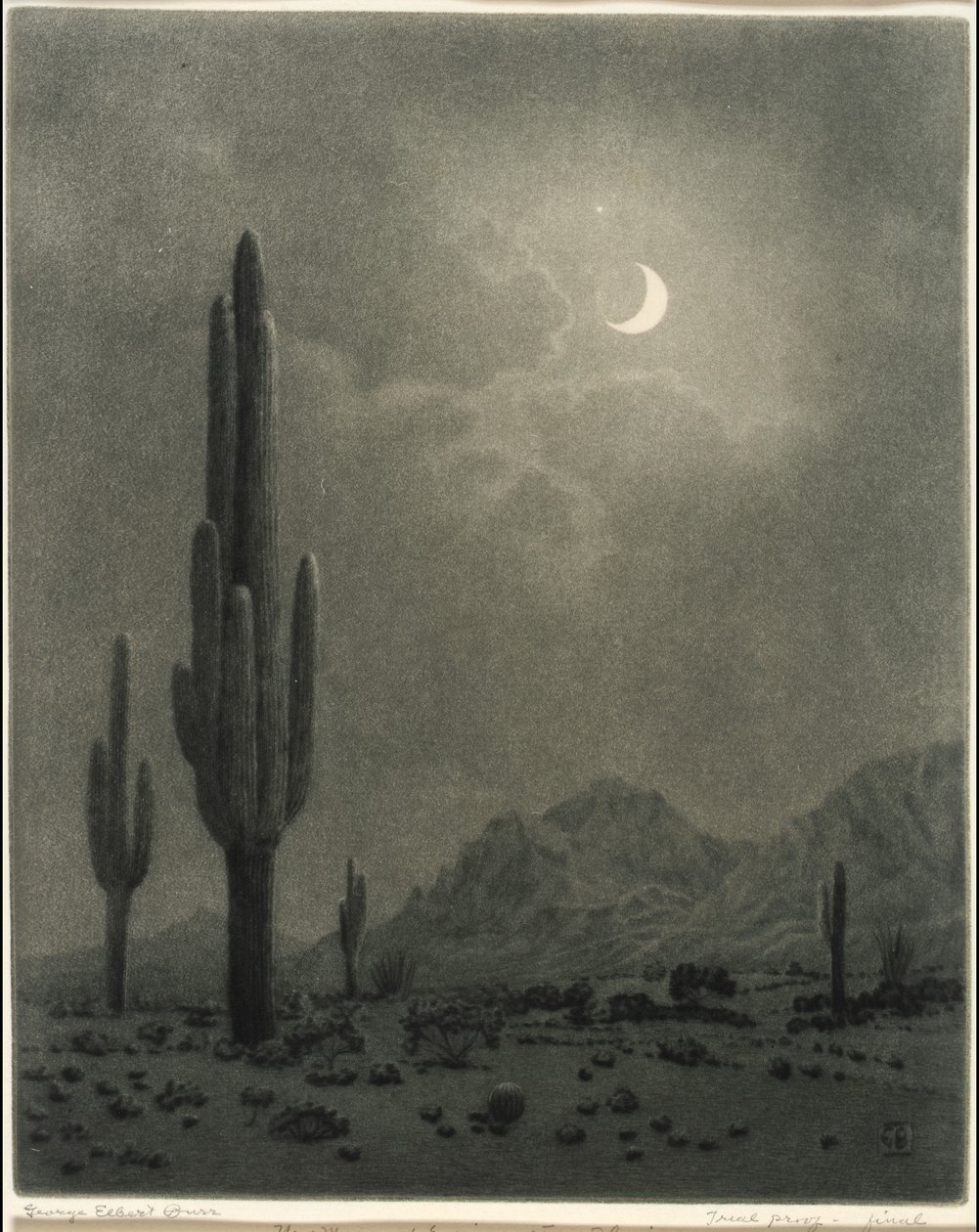 Nymåne og Aftenstjerne, Phoenix af George Elbert Burr