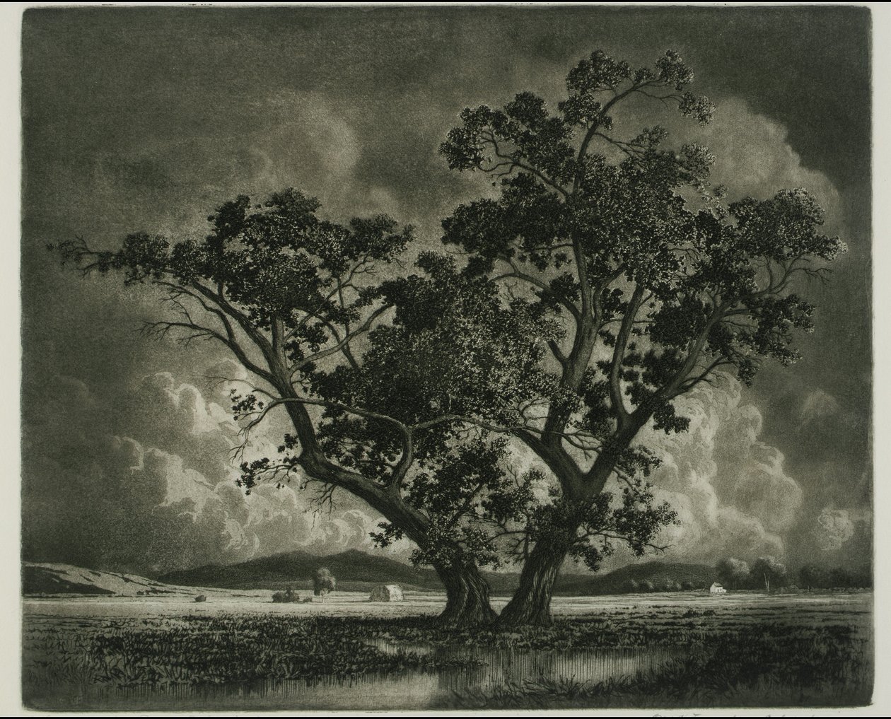 Old Cottonwoods, Colorado af George Elbert Burr