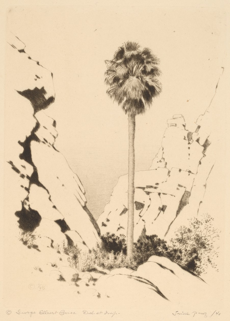 Palm Canyon (nr. 1) af George Elbert Burr