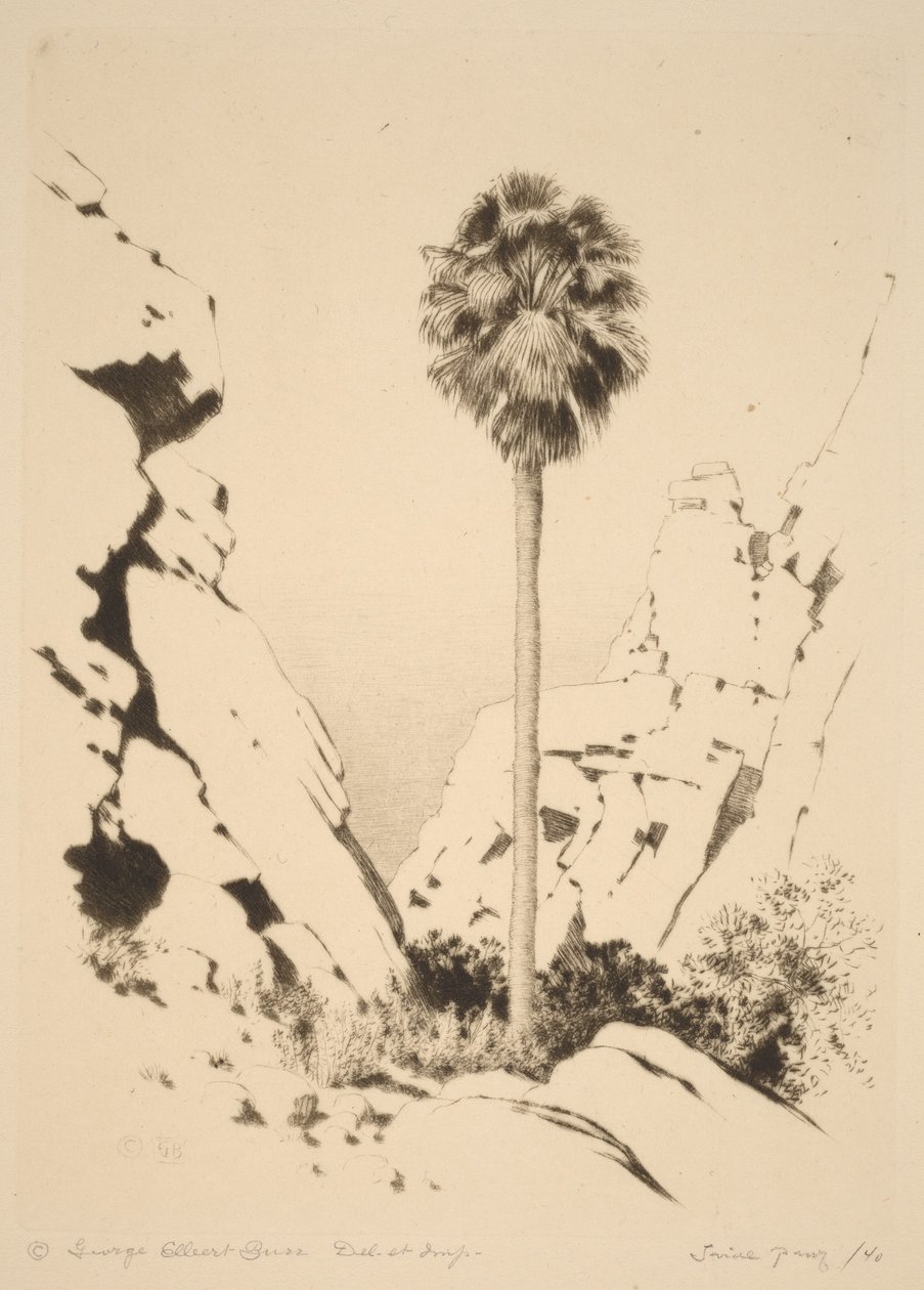 Palm Canyon (nr. 1) af George Elbert Burr