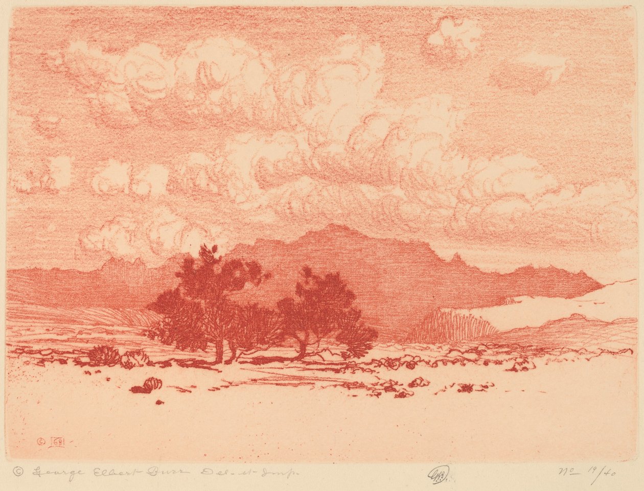 Palo Verde træer af George Elbert Burr